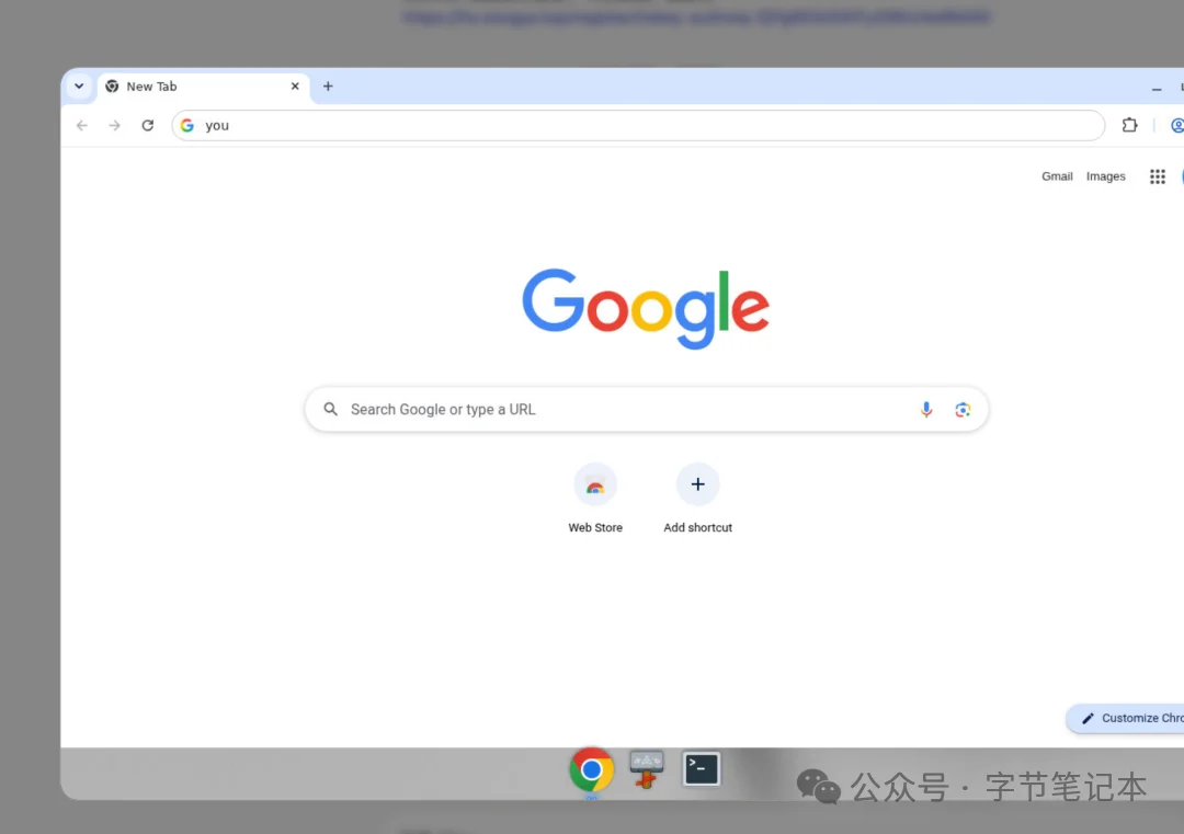 Grok Bot推出网页版！必看的Grok Bot 101 指南教程