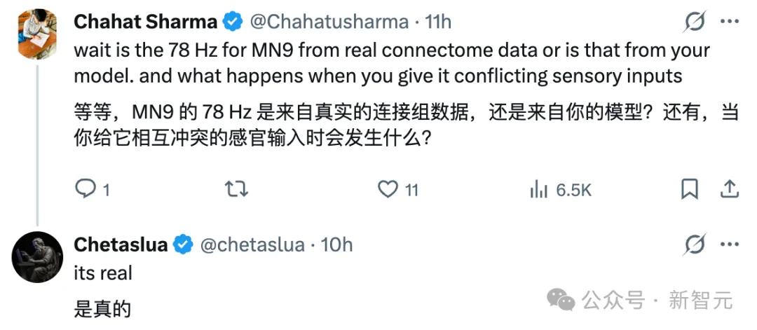 震撼!果蝇大脑成功接上了ChatGPT