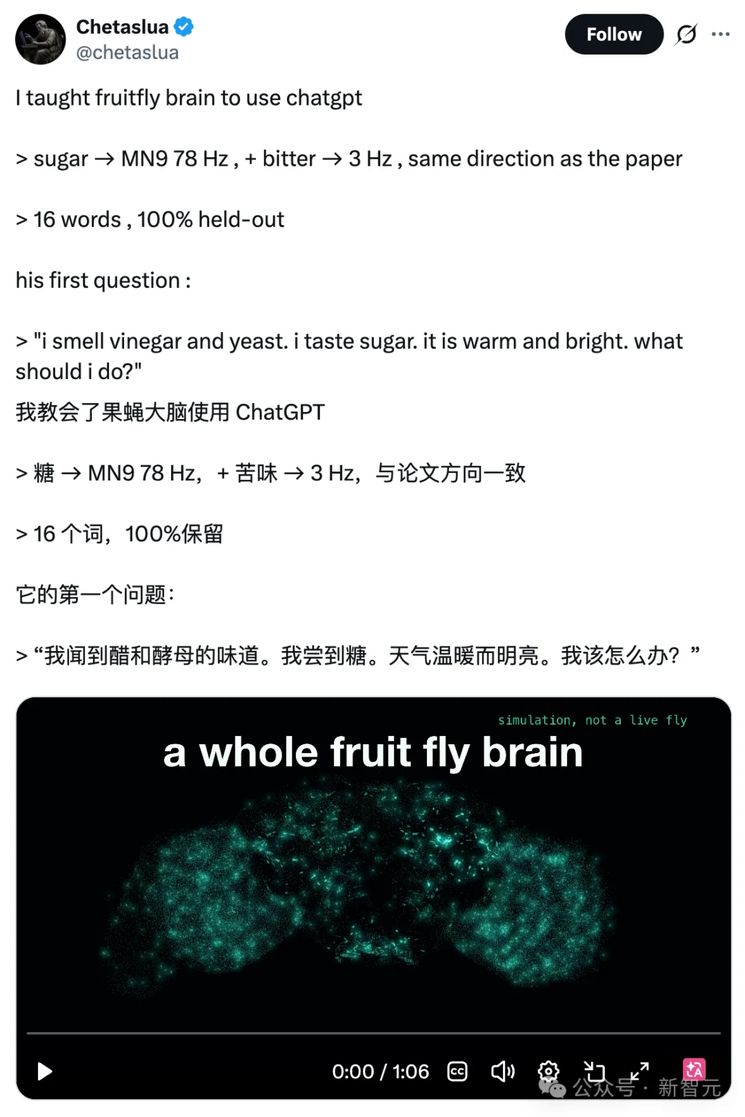 震撼!果蝇大脑成功接上了ChatGPT