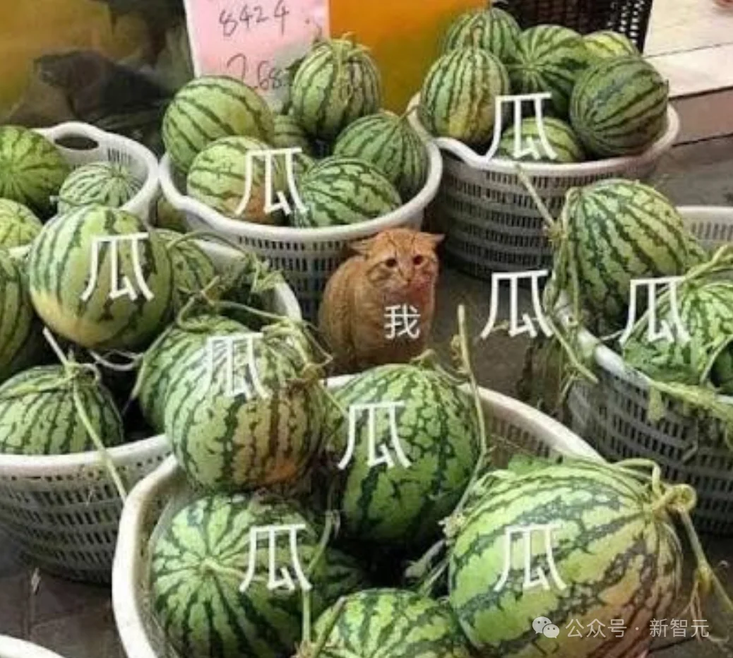 跑分被改引质疑，GPT-6发布背后的评测迷雾