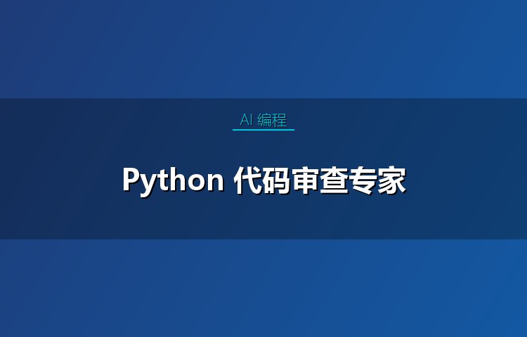 Python 代码审查专家