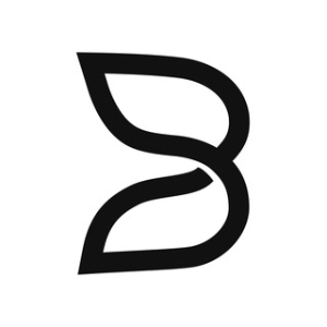 B.AI - 孙宇晨推出的基于区块链构建的大模型API聚合平台
